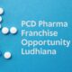 PCD Pharma Franchise Opportunity in Ludhiana